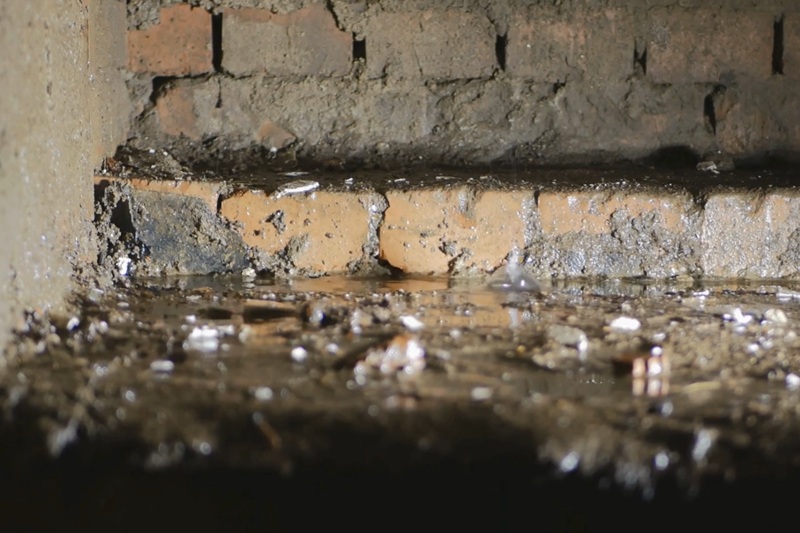 Waterschade