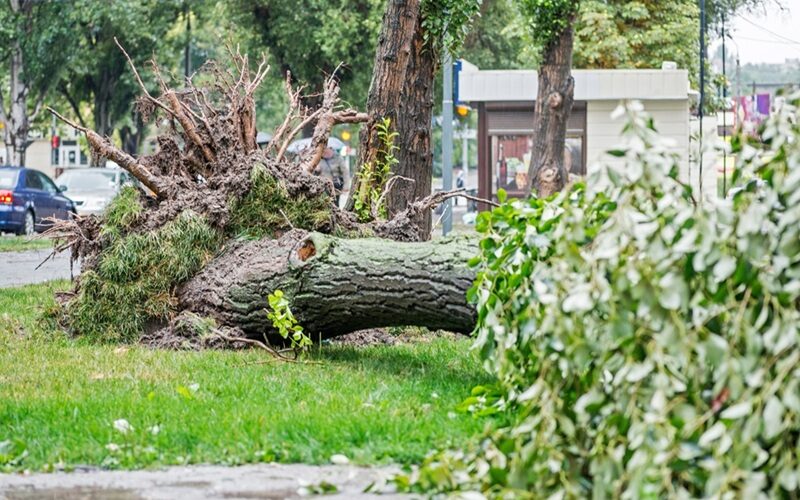 Storm Schade Contra Expertise