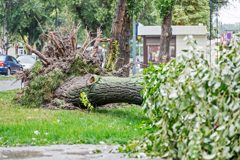 storm schade contra expertise